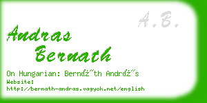 andras bernath business card